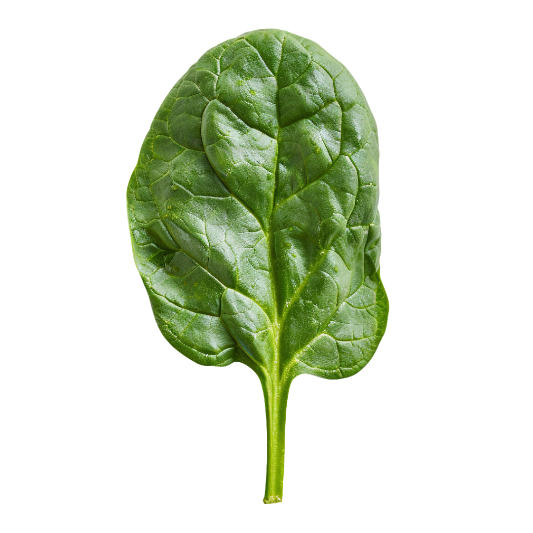 Vitamin B9 (Methylfolate)