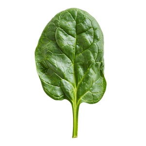 Vitamin B9 (Methylfolate)