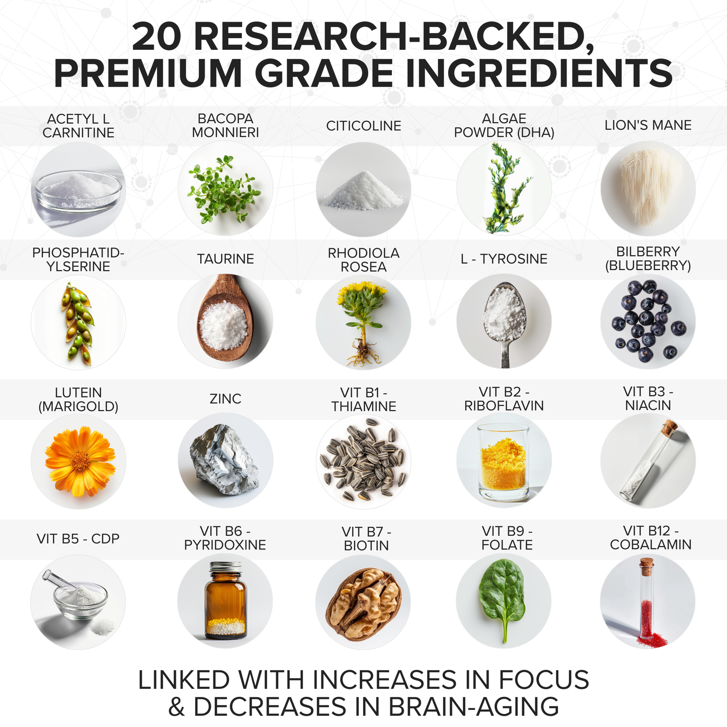 SHARPER HUMAN - Natural Brain Supplement & Nootropic Stack